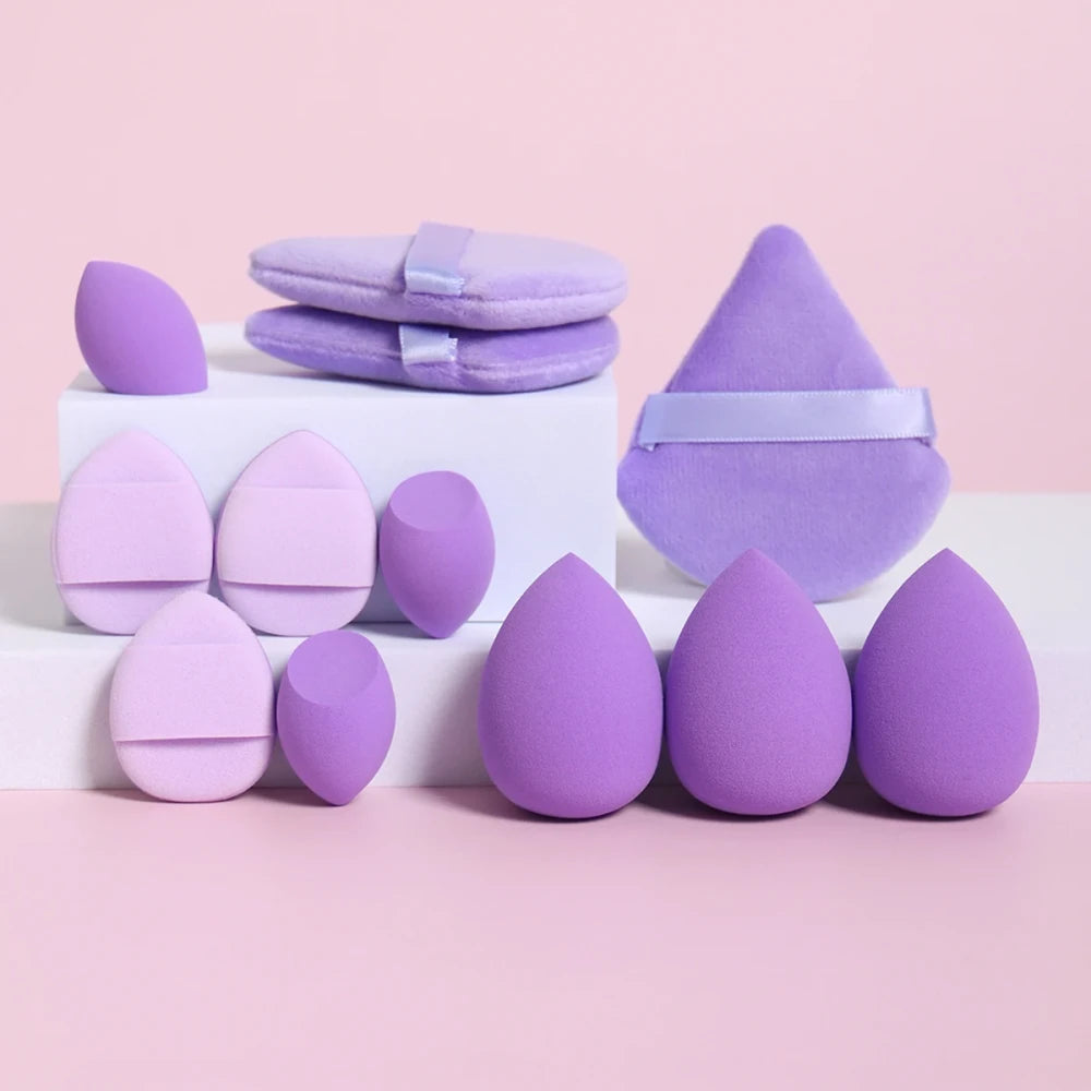 Professional Makeup Sponge Collection